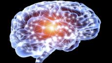 لماذا تموتُ خلايا الدماغ؟